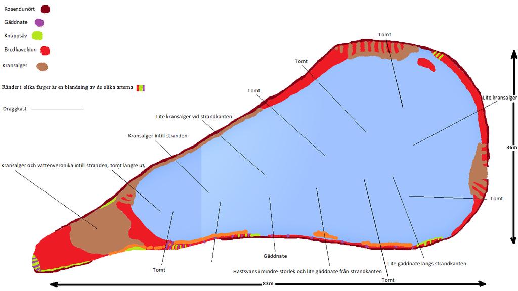 Beskrivning av enskilda dammar och vegetationskartor Damm 1 Vattnet är klart och ute i dammen är det mer eller mindre vegetationsfritt.