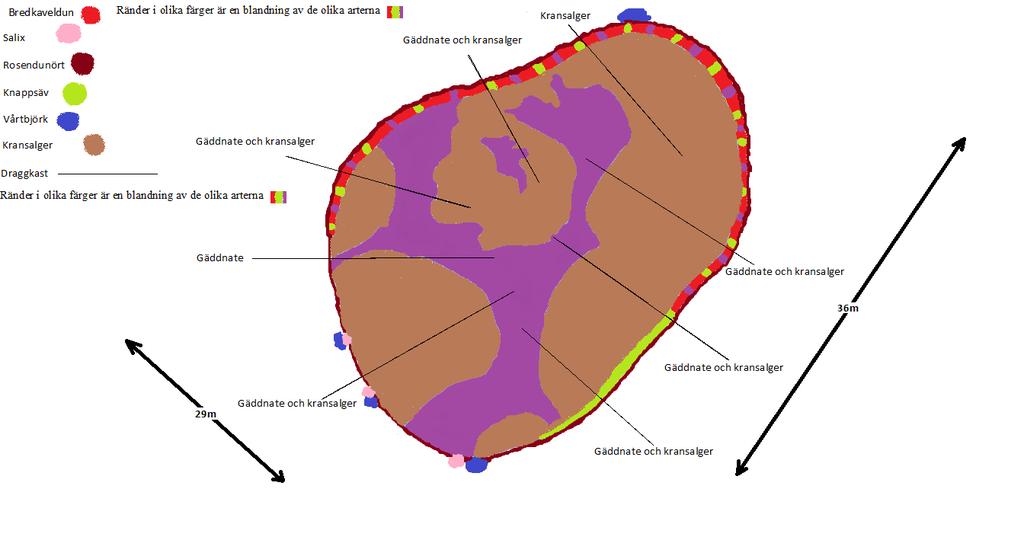 Damm 2 Vattnet är klart och hela dammen är täckt med gäddnate (ca 30%) samt