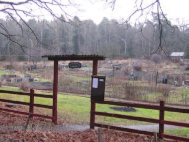 Genom att ge området mellan vägen och koloniområdet en fl ack lutning och plantera grupper av träd med arter som fi nns naturligt i området kan kopplingen till naturmarken stärkas.