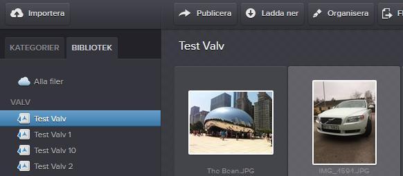 3.1.2. Välja valv Välj ett valv genom att aktivera fliken bibliotek och markera valvet. Alla bilder i det valda valvet visas.