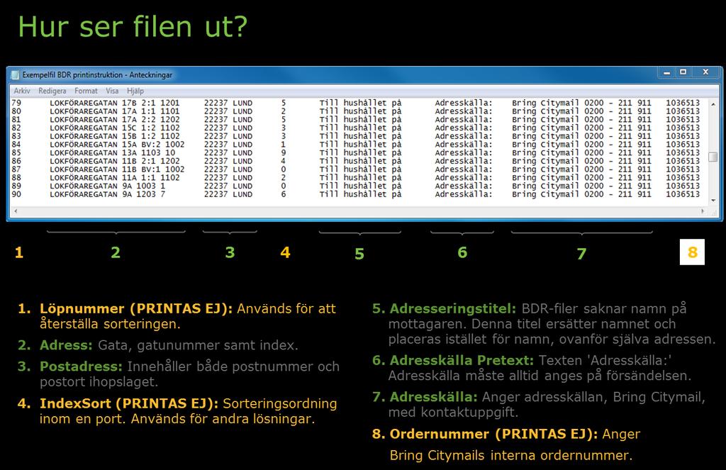 Hur ser filen ut?