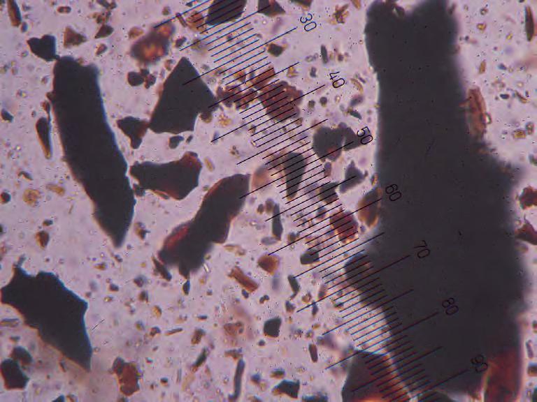 ARKEOLOGISK RAPPORT 2016:26 BILAGA 1 Figur 5. De undersökta jordproverna innehåller rikligt med mikroskopiska träkolspartiklar.