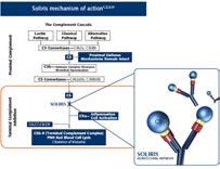 Eculizumab binder C5 inhiberar den terminala komplementaktiveringen Patienter ska meningokockvaccineras och ev behandlas med antibiotika Eculizumab Effektiv mot komplementaktivering vid ahus