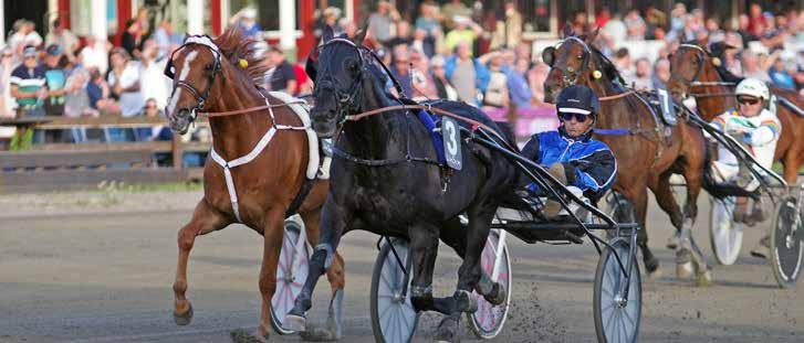 Scarlets Aino-dottern var sedan piggt på bettet hela vägen och vann enkelt på 18,2/2140 m.. En nöjd Roland Berg tillsammans med Xavier Gene efter segern.