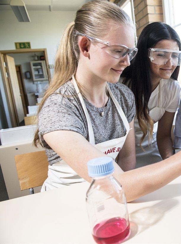 Naturvetenskapsprogrammet Naturvetenskapsprogrammet ger en god grund för dig som vill fortsätta studera vidare efter gymnasiet, inte bara inom det naturvetenskapliga området.