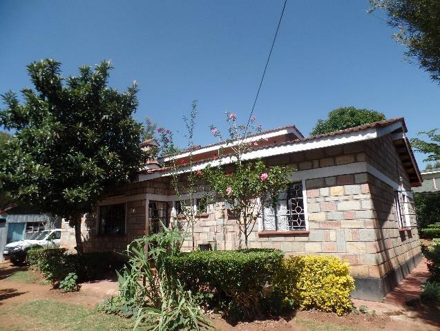 Doctors house ligger i ett relativt lugnt område med blandad bebyggelse en bit från Kitale centrum. I närheten finns en dal med en bäck och en täckt källa.