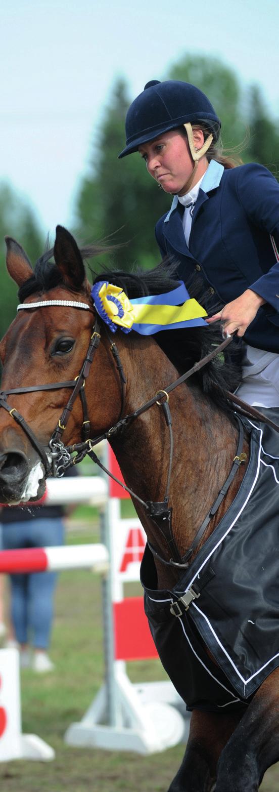 Sundsvall Summer Horse Show Låt ditt företag synas på årets största ridsporthändelse i Norrland! Sundsvall Summer Horse Show 2018 Sundsvalls Ridklubb är en van arrangör av stora tävlingar.