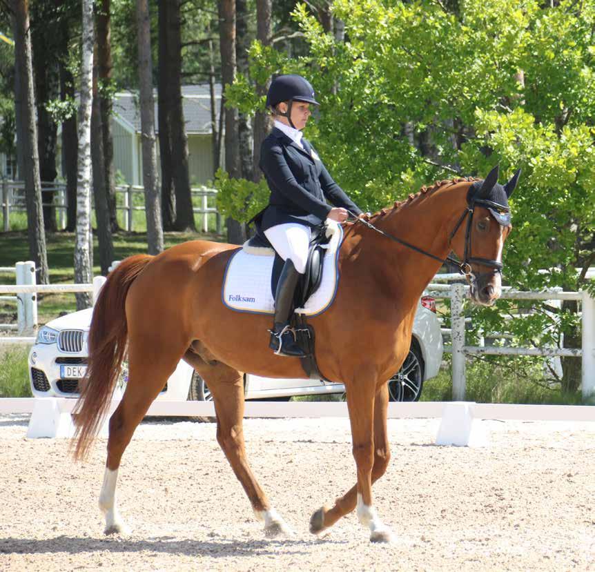 Deltagande ryttare och hästar* Ryttare Kristina Alderheim Klubb Piteå Rid & Körsällskap Häst Banjo Född 2004 Härstammning Bocelli - Briar Uppfödare Louise Etzner Jakobsson Ägare Kristina Alderheim