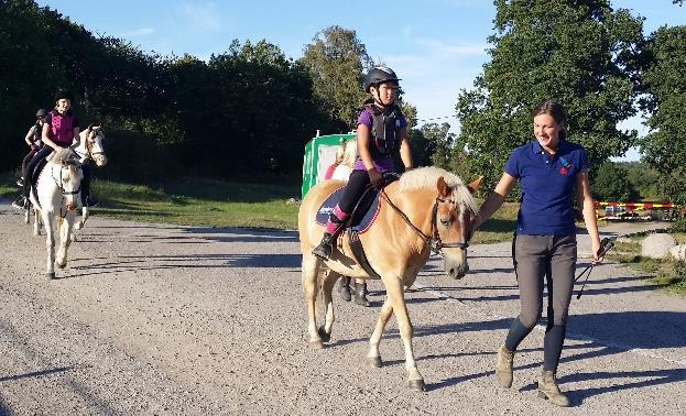 KOMPETENS OCH LEDARSKAP Vi har genom noggrann rekrytering hittat personal med mycket god kompetens. Fyra av våra ridlärare är högskoleutbildade hippologer och har flera års erfarenhet av yrket.