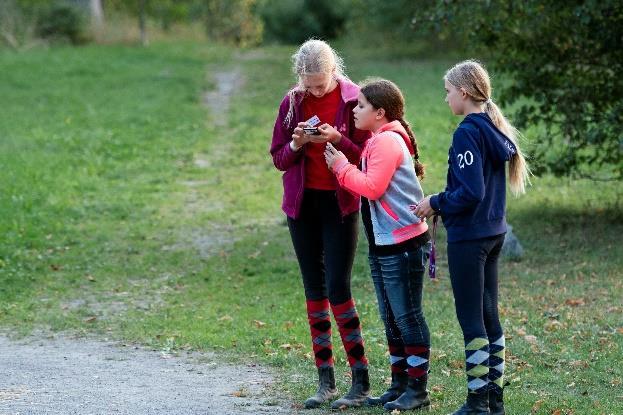 Information Vi arbetar med information och kommunikation i flera kanaler; vår webbplats, vår Facebook-sida, e-post och anslag i stallet.