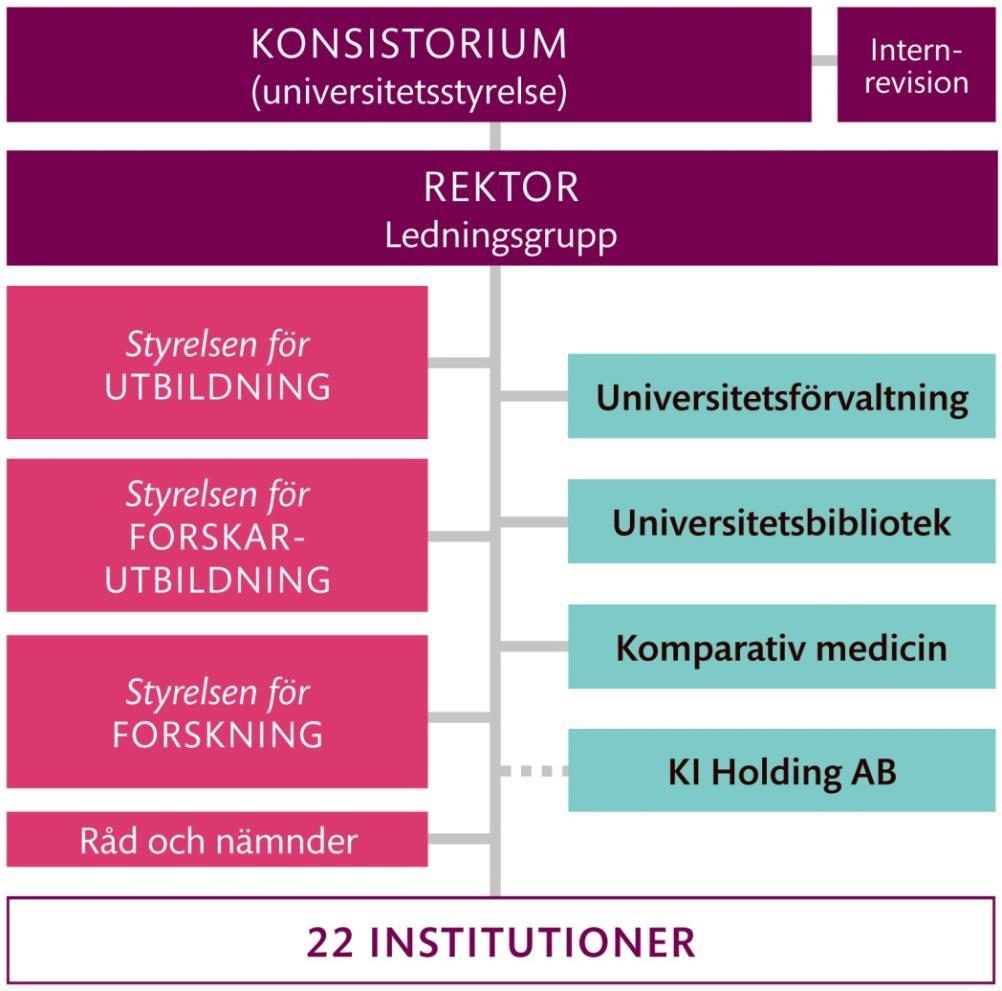 KI:s organisation Vicerektorer