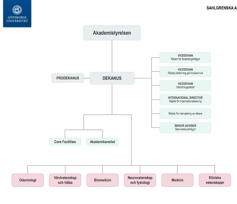 Sahlgrenska Akademin http://sahlgrenska.gu.