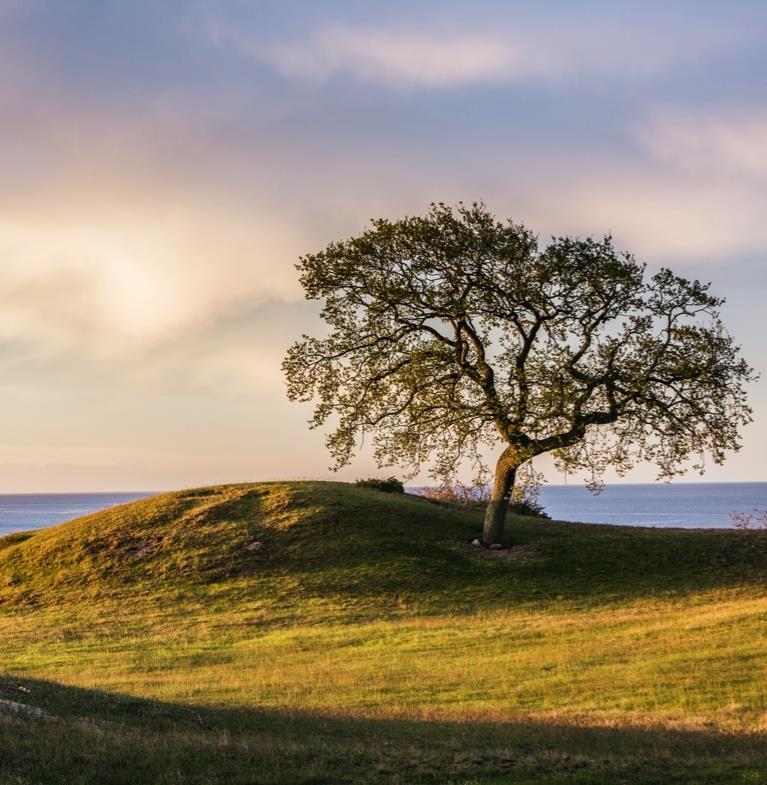 DELSTRATEGI Marknadsföring & Distribution Varumärket Skåne Genom att ge kommuner och privata aktörer inom besöksnäringen motiv, riktlinjer och stöd för användning och