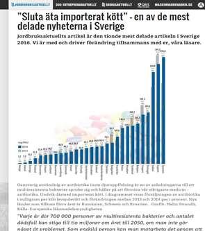 Hälsofokus och