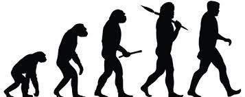 EvoluHonsteorin