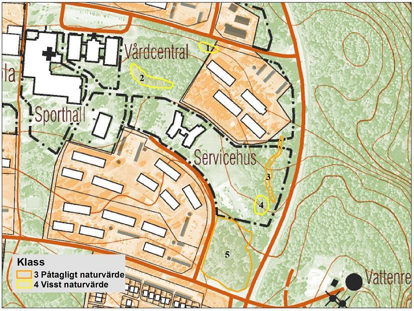 6 Områden med biologiska naturvärden Vid inventeringen identifierades 5 ytor med ett förhöjt naturvärde.