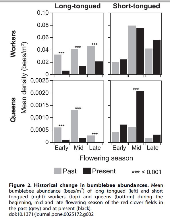 Dansk studie i rödklöver: Jämförande inventering 1930-31 & 2008-09 Antal Artsammansättning Resultat: 5 av 6 långtungade humlearter borta. Jordhumlor opåverkade.