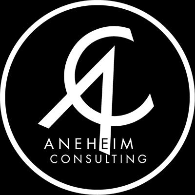 Ledarskapscase med Aneheim Consulting Aneheim Consulting är ett ungt och expansivt bolag med hemvist i Stockholm som värderar engagemang, omtanke och ansvar.