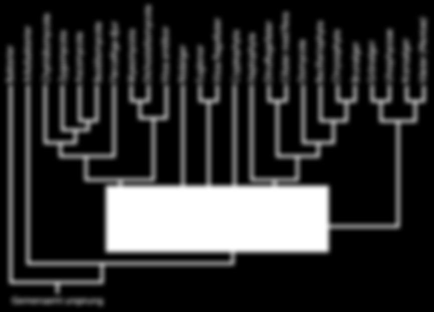 Systematiken Bakterier Arkebakterier Chytridiomycota Zygomycota Ascomycota Basidiomycota Flercelliga djur Myxomycota Dichosteliomycota Vissa amöbor Rödalger Euglenor Vissa