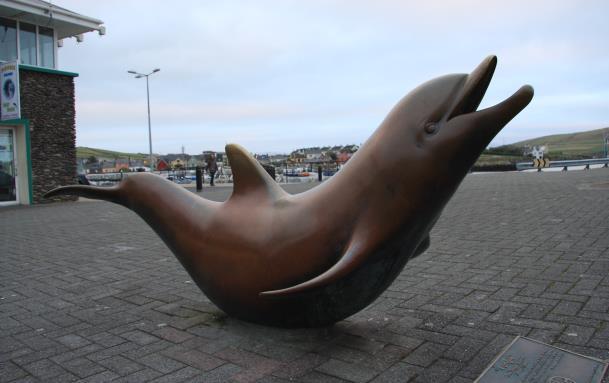 Dingle är en framstående marknadsstad med en välkänd fiskehamn. Här finns ett stort urval av restauranger, pubar och butiker. Vill du trots allt uppleva ytterligare nya saker finns flera möjligheter.