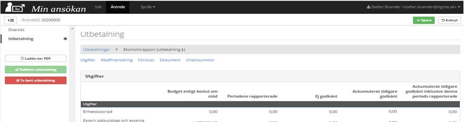 Ekonomirapport före registrering av