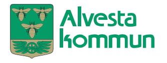 av IT-verksamheten