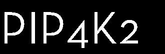 Årets första månader inleddes med goda nyheter i PIP4K2 projektet som licensierades till Petra Pharma 2016.