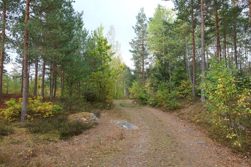 Befintlig skogsväg som används vid promenader och skidåkning i Abborrebersskogen. Vägen ligger på kommande privat tomtmark.