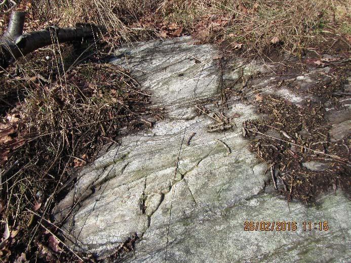 4 (9) 2 Geologi Berggrunden utgörs huvudsakligen av en grå fint medelkornig ådergnejs där ådrorna utgörs av ljus grovt medelkornig till grovkornig kvarts och fältspat, se Figur 2.1.