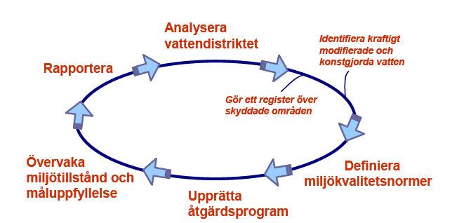 1. Inledning En förvaltningsplan för ett vattenförvaltningsområde är enligt vattendirektivet ett dokument för regelbunden sammanfattande redovisning och rapportering av arbetet med förvaltningen av