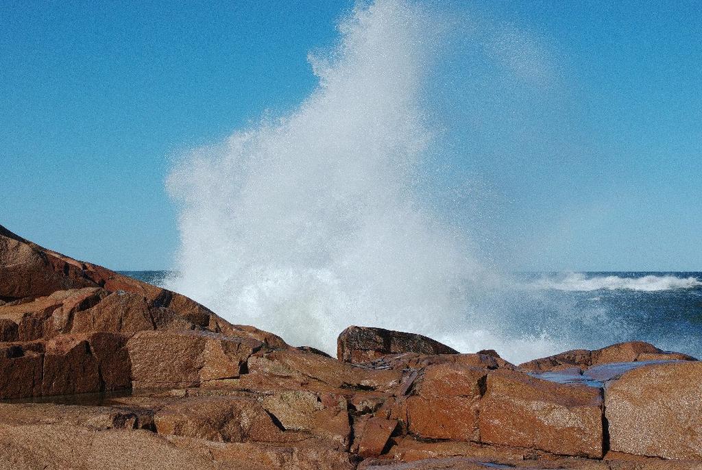 Bevarande eller förbättrande av vattnens status har varit en viktig utgångspunkt vid urvalet av Natura 2000-områden som är beroende av vatten.