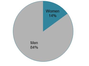 Styrelseuppdrag i svensk dagspress Proportion of women and men as CEO