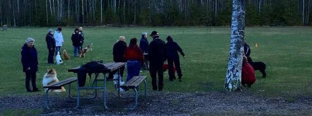 4 Handlerträning Träning för Moa Persson (extriördomare), 3 kvällar under våren.
