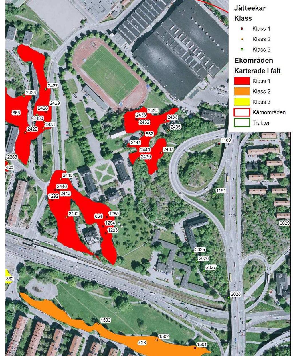 SID 7 (29) Karta från Ekdatabasen 2007 visar större ekar med en diameter om över 1,0 meter. Område som föreslås bebyggas i kommande detaljplaner markeras med streckad linje.