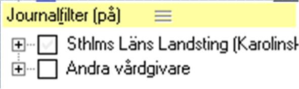 Åtkomst till information inom egen vårdgivare I journalfilter visas egen vårdgivare som en egen mapp.