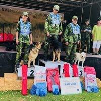 Övrig information Mästerskap för tjänstehundar 2018 Både Försvarsmaktsmästerskapet och Mästerskapet för räddningshundar 2018 genomfördes i Blekinge samtidigt med övriga SM.