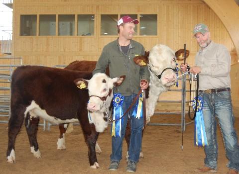 Swedish National Hereford Show 2012 Lennart Svensson with Grand Champion female, 893 GPH Lynette FR Ork P699 and Einar Lysell