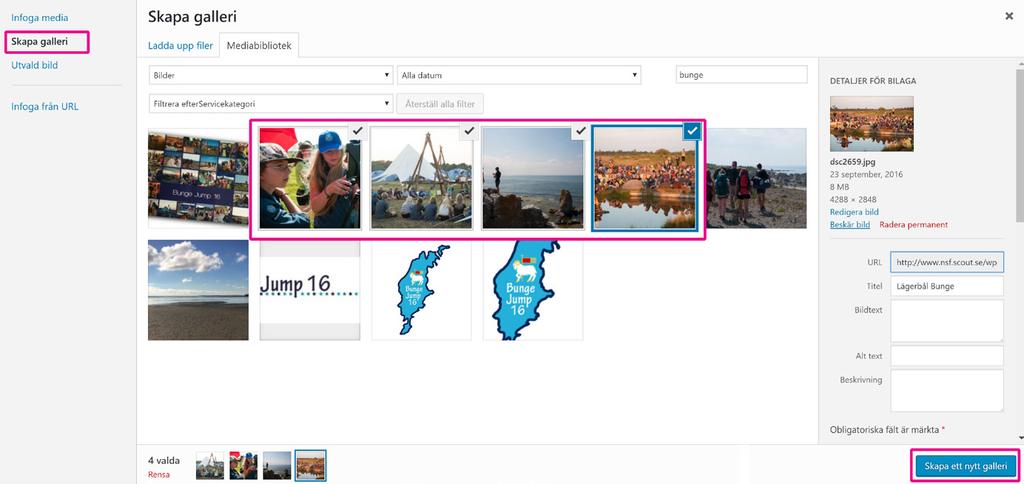 Bilder Bildspel Har du flera bilder du vill visa i ett bildspel? Ställ markören där du vill ha bildspelet. Klicka på Lägg till Media ovanför brödtextrutan.