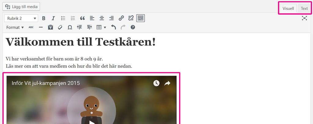 Gå tillbaka till hemsidan och växla till Text-läge längst ut till höger i brödtextrutan.