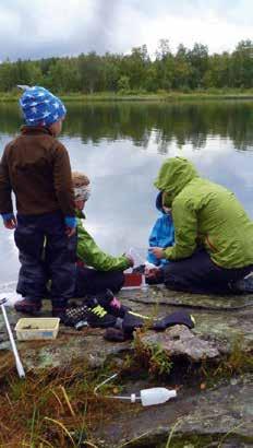 BLAND KÖTTÄTANDE VÄXTER OCH ELEFANTHUMLOR En tur för barnen och deras föräldrar. Samling i naturum, tag med fika och något att sitta på.