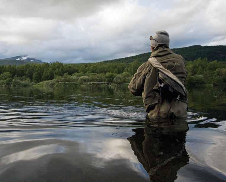 Fiskefestivalen 20-29 juli Arr/Organiser: Tärnafjällens FVO Foto/Photo: Malin Henriksson MER INFORMATION Mer information och försäljning av det gemensamma fiskekortet på Hemavan Tärnaby Turistbyrå