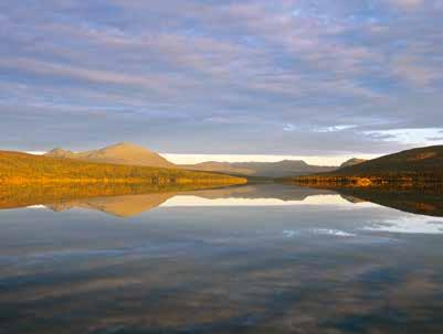 FISHING FESTIVAL 20-29 JULY Permits Fishing information Competition Seine fishing x 2 How a fish works Naturum #fjällgourmet with fish theme