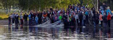 Frukostkonsert i Ruttjebäcken (om vädret tillåter) 20-22 juli Gränshandelsmarknaden i Tärnaby 20-29 juli Fiskefestival 21 juli Dans på Udden i Tärnaby