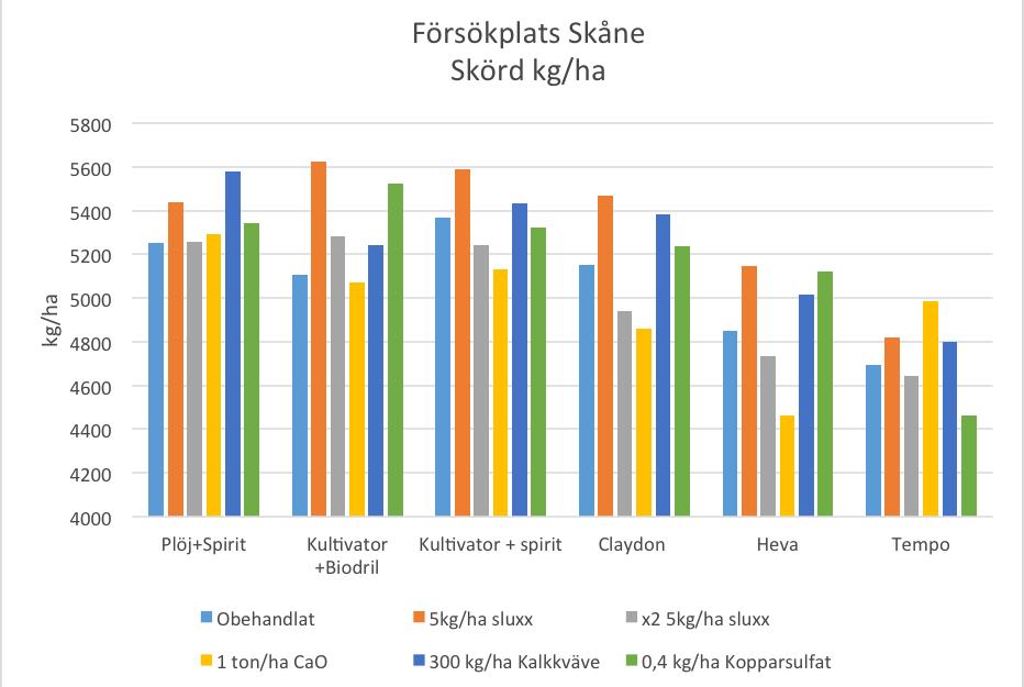 Figur 4. Bestånd, antal plantor/m 2 på hösten på försöksplatserna. Figur 5.