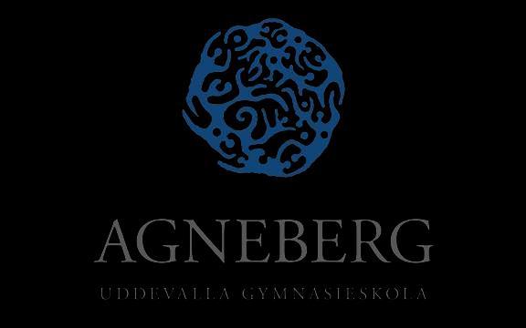 Uddevalla kommun Agneberg Rektorsområde: Nina Södergren 0522-69 60 00 (vx) Handlingsplan 2016/17 Plan mot