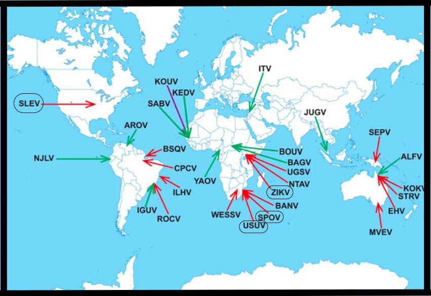 Figur 1. En illustrativ världskarta över platser där stickmyggspridda flavivirus initialt påträffats.