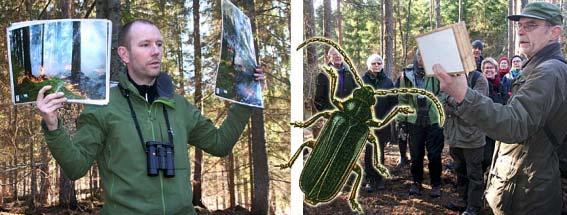 Hur ser det ut nu - året efter? På Fräkenkärrets naturreservat gjordes förra året i maj en narurvårdsbränning.