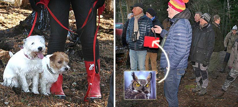 Ett av målen var att begränsa gran till förmån för gamla och värdefulla tallar. Branden kommer att gynna vissa insekter och bl a tretåig hackspett genom tillgången på döda och döende barrträd.