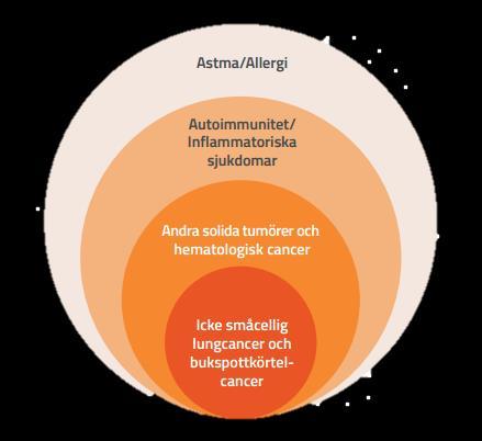 När fas I-data finns rapporterat avser Cantargia att dessutom starta en klinisk fas IIa-studie mot leukemi.