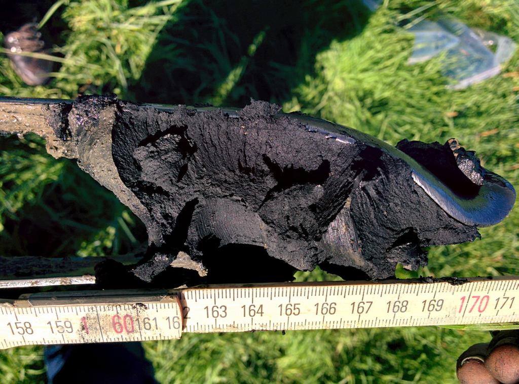 Figur 13. Sulfidhaltiga jordar känne tecknas ofta, speciellt i norra Sverige, av en karakteristisk svart färg. När jorden exponeras för luft försvinner den svarta färgen då sulfidmineralen oxiderar.